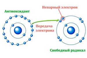 Защита от инфекционных возбудителей