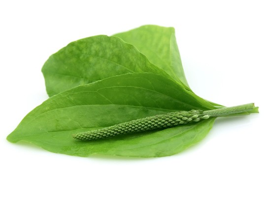 Состав - 1 капсула: