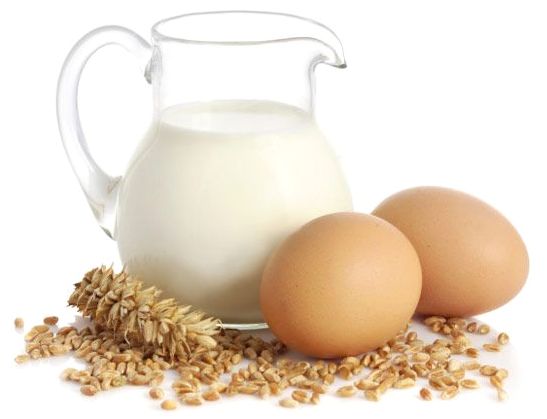 Источник качественного белка для спортсменов