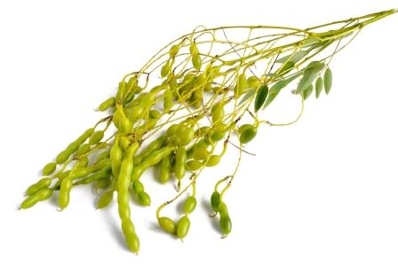 Состав - 1 капсула: