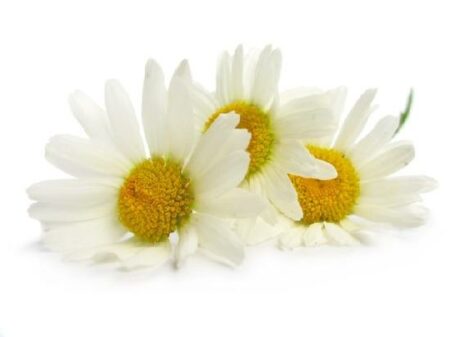 Шариковый Антиперспирант