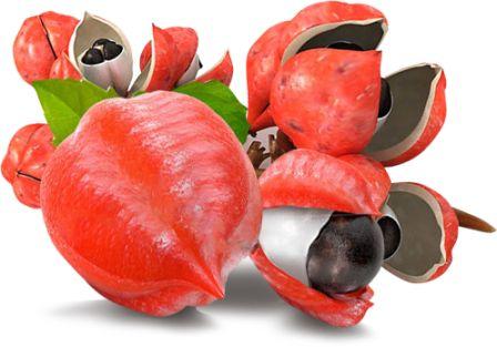 На пути к получению энергии