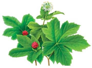 Природный антибиотик