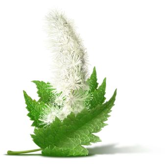 Коготь дьявола от нервных расстройств