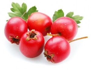 Боярышник Плюс